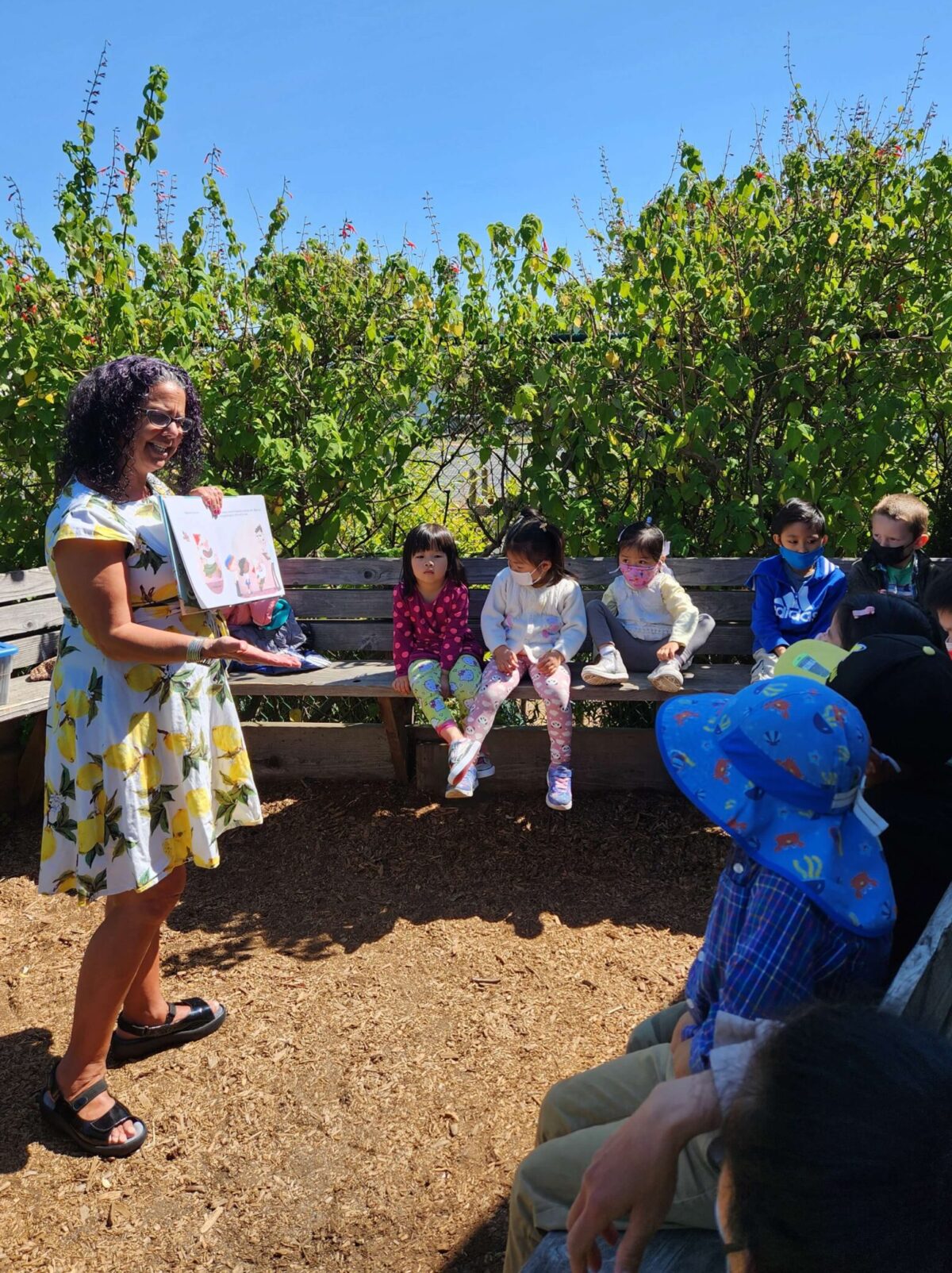 Pre k in excelsior and portola family connections centers